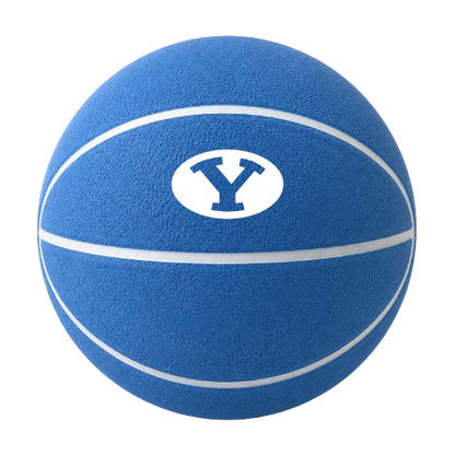 Color Splash QT BNZ Basketball