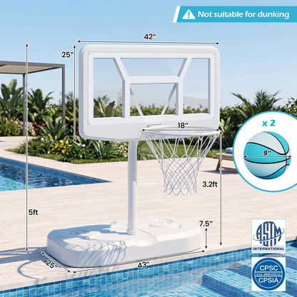 Pool Basketball Hoop Set with 2 Balls and Pump