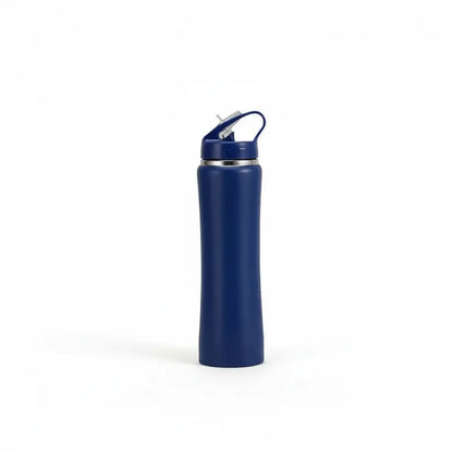 Stainless Steel Water Bottle with Straw