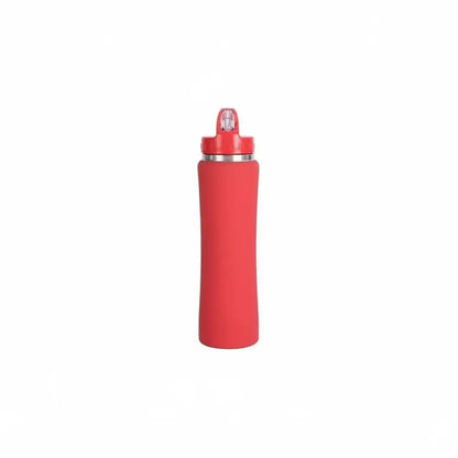 Stainless Steel Water Bottle with Straw